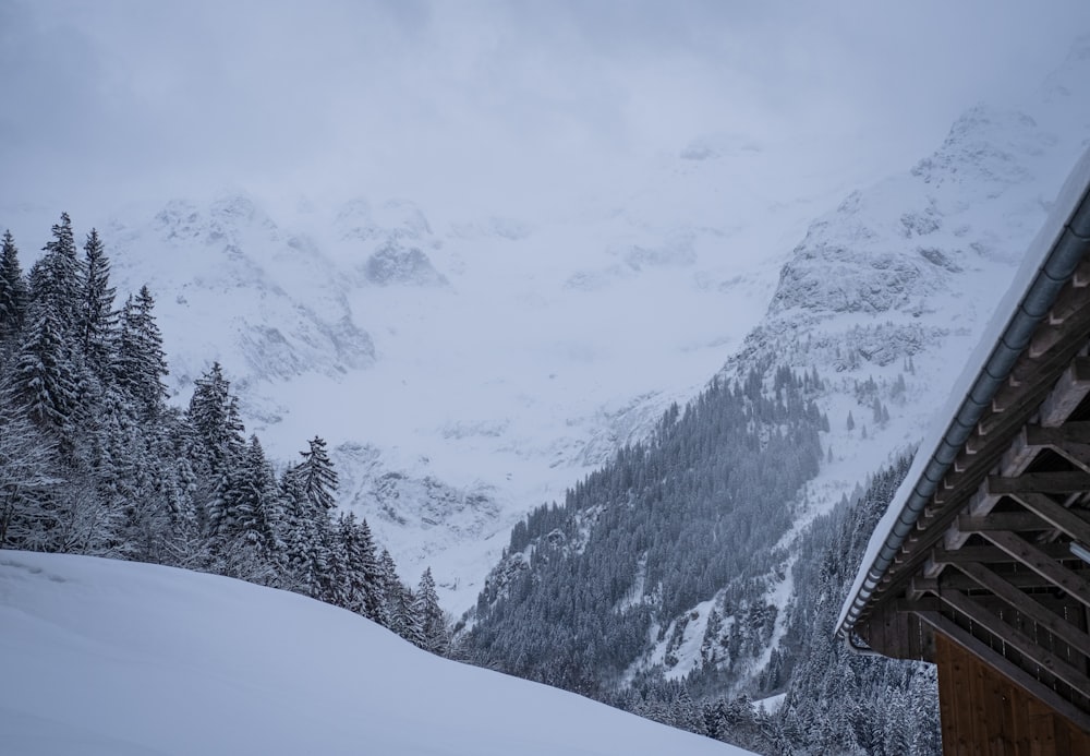 snow covered mountain during daytime