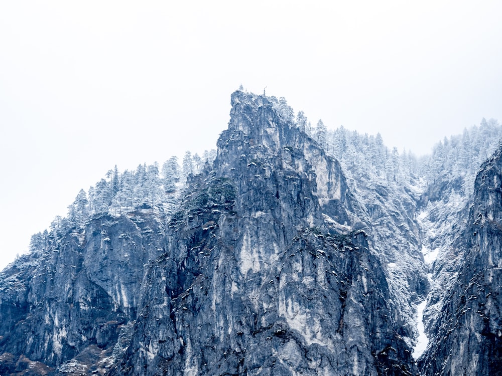 gray rocky mountain with green trees during daytime