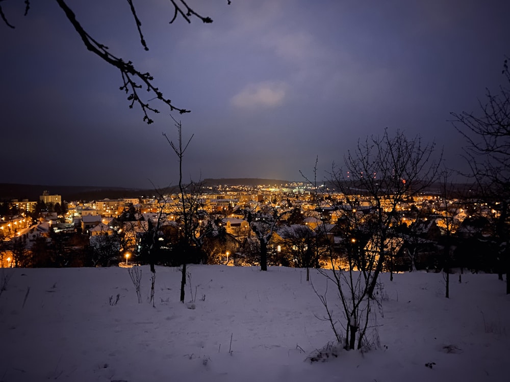 brown trees on snow covered ground during night time