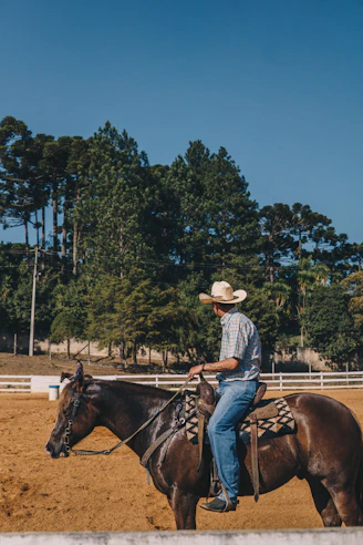 woman in blue and white plaid dress shirt riding brown horse during daytime