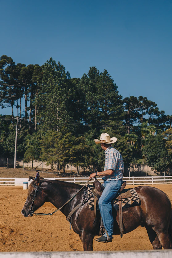woman in blue and white plaid dress shirt riding brown horse during daytime