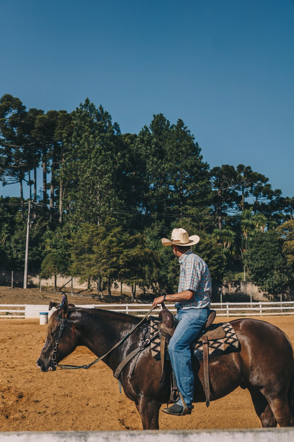 woman in blue and white plaid dress shirt riding brown horse during daytime