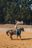 A person wearing a cowboy hat and casual attire is riding a brown horse in an outdoor sandy arena. The area is enclosed by a white fence and surrounded by tall, dense trees.