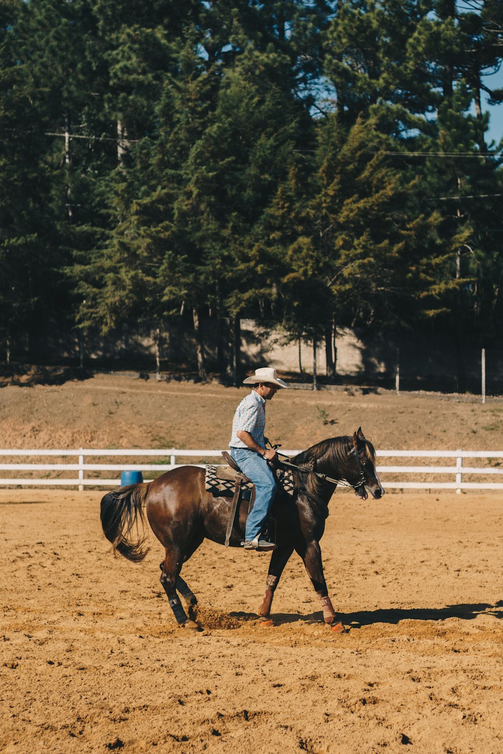 man in white cowboy hat riding brown horse during daytime