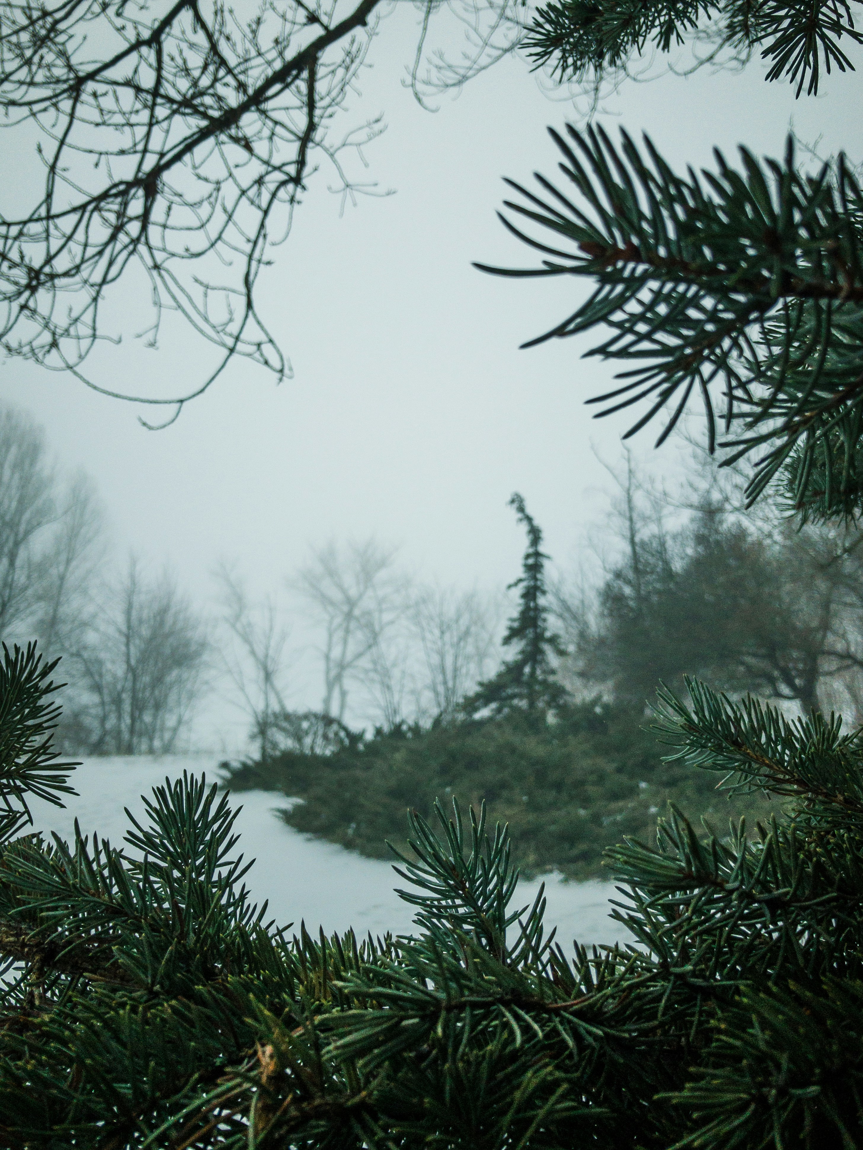 Photo by ser_diominn