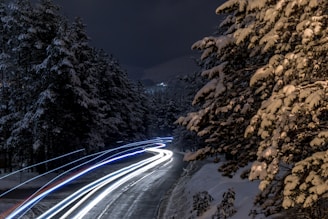 time lapse photography of cars on road between trees during night time