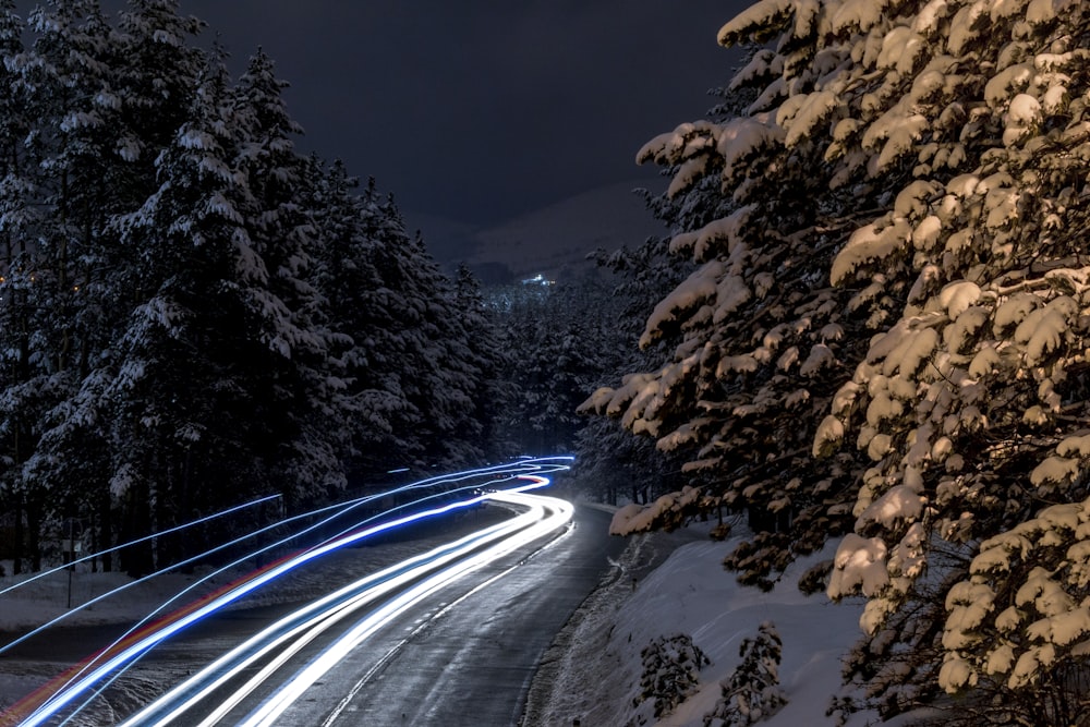 야간에 나무 사이의 도로에서 자동차의 타임 랩스 사진
