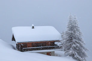 brown and white house covered with snow during daytime