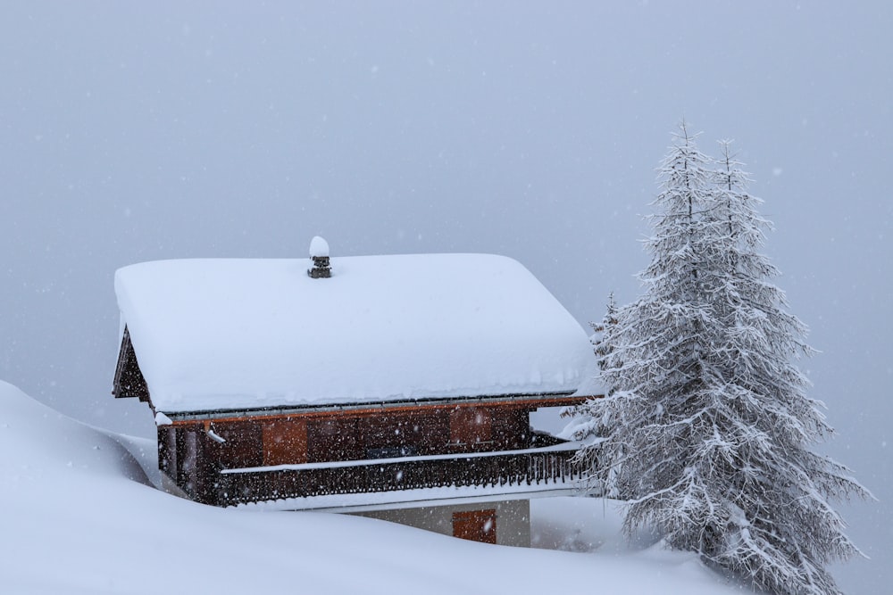 maison brune et blanche recouverte de neige pendant la journée