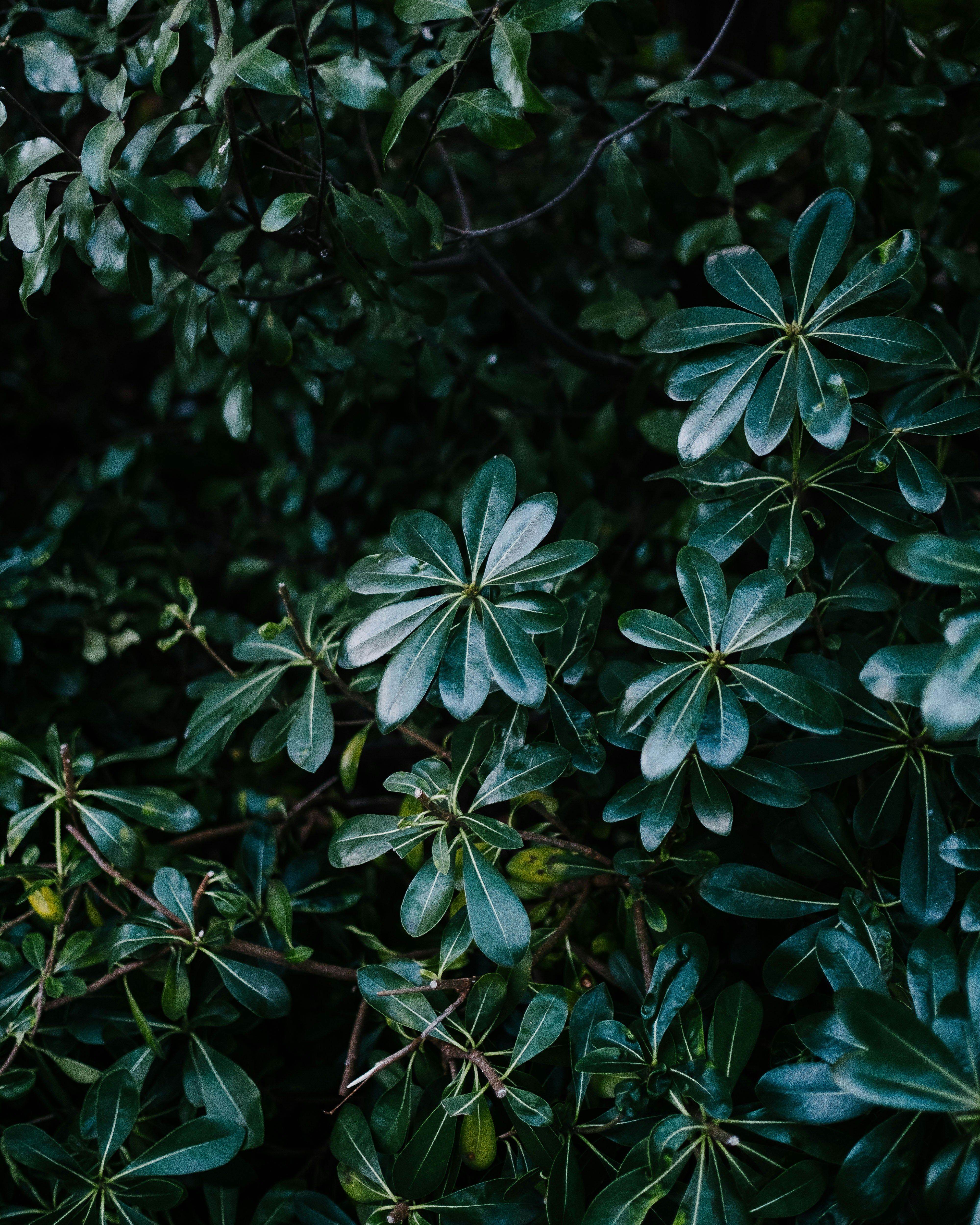 Photo by glodimiessi