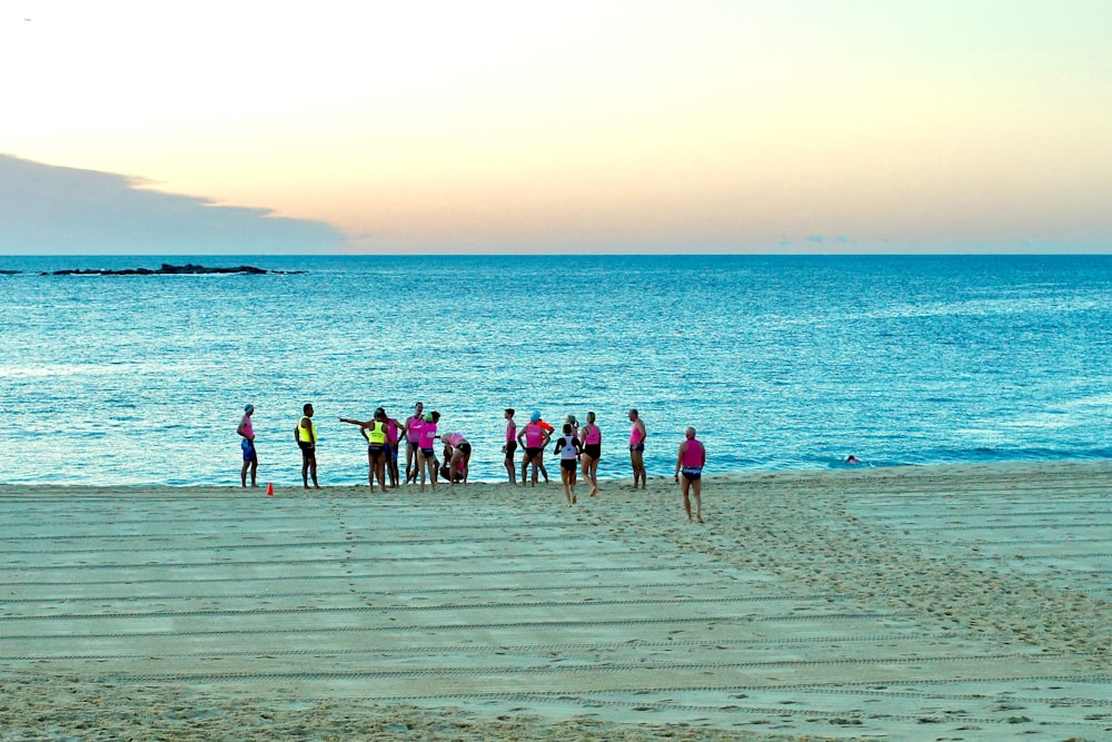 people on beach during daytime