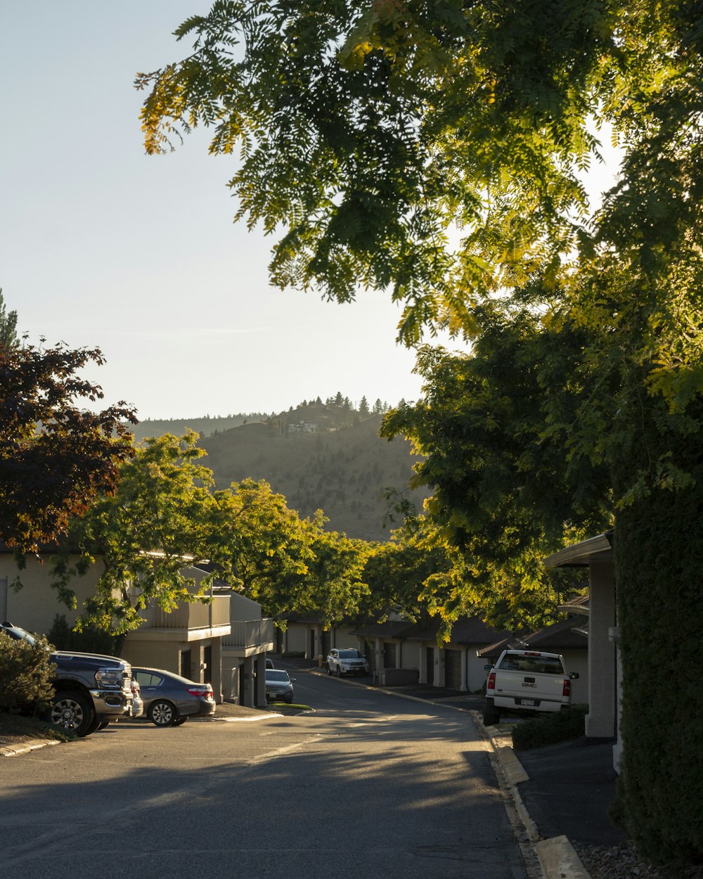 cars parked on parking lot near trees during daytime