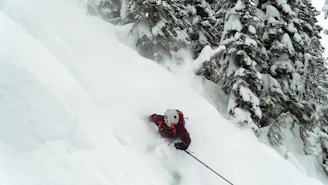 a person skiing down a snowy mountain with trees in the background