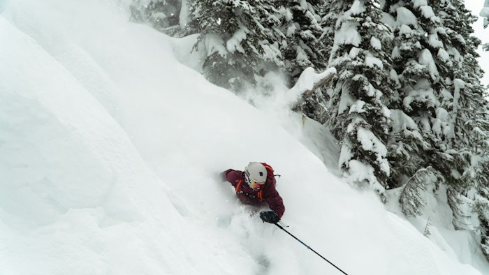 Ski