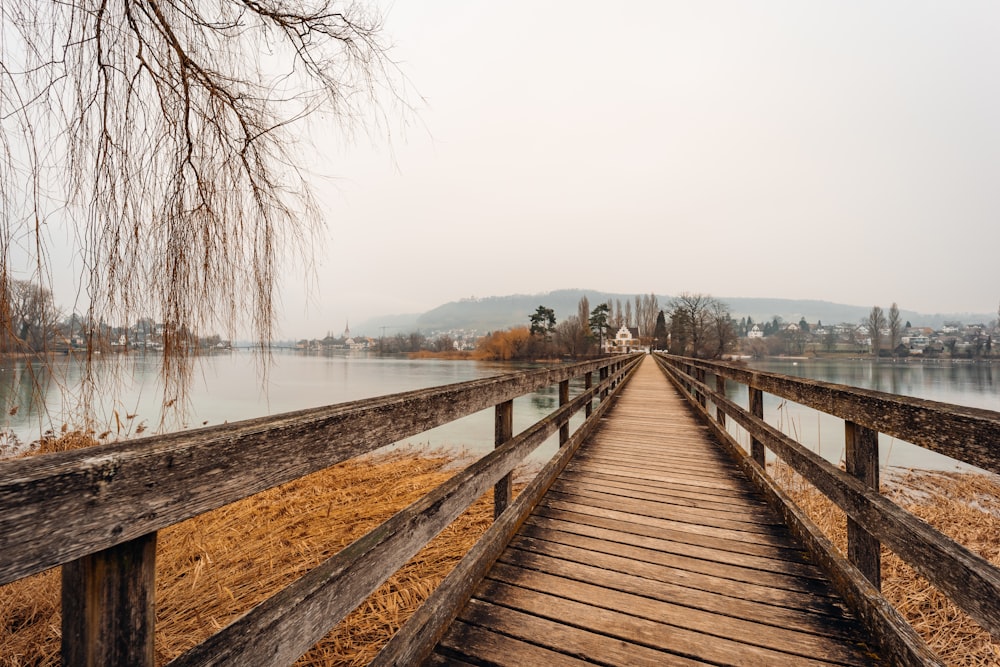 brown wooden dock on lake during daytime