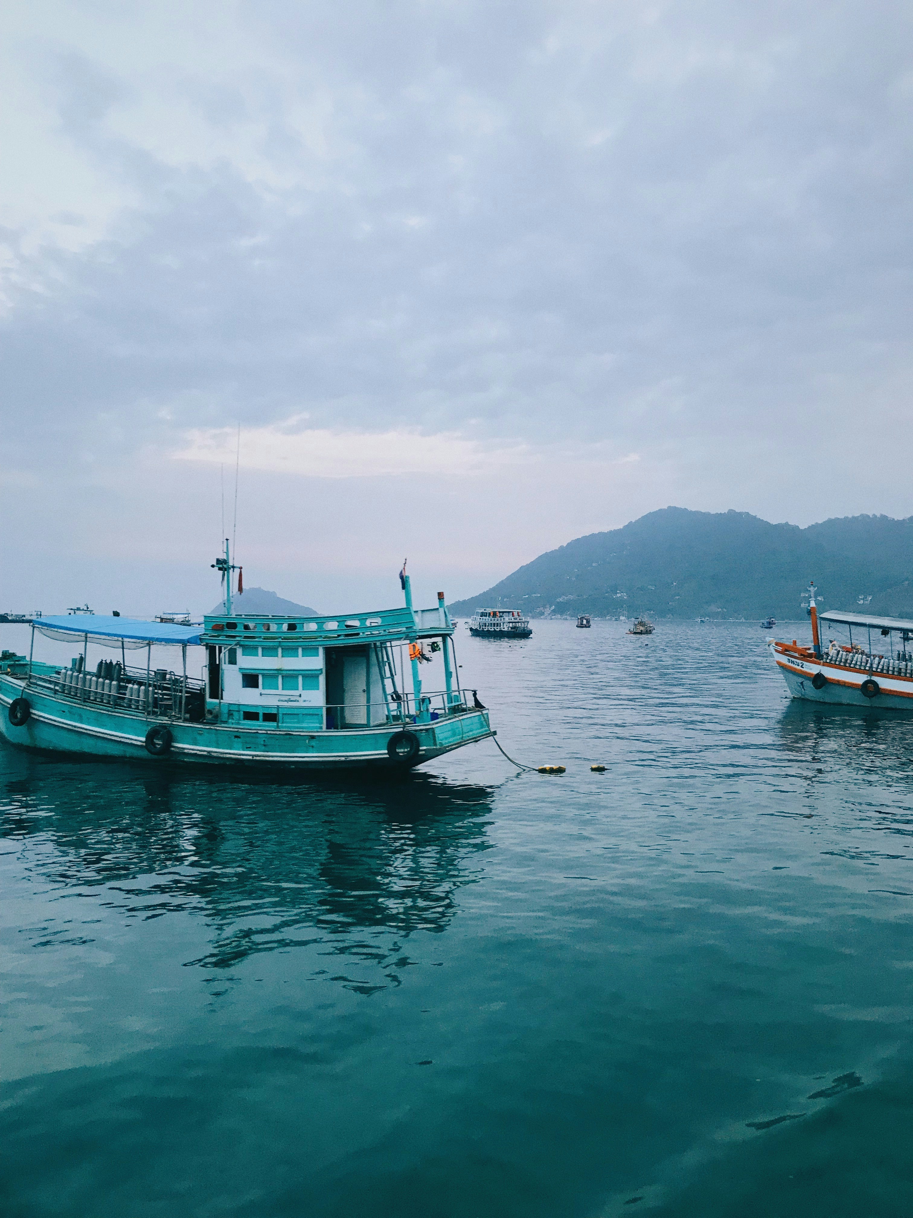 Photo by molliemoran