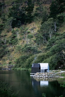A small, modern cabin with a black and white exterior is situated on the edge of a tranquil lake, surrounded by lush green trees and sloping hills. Smoke gently rises from the chimney of the cabin, and a stone retaining wall lines the edge of the water.