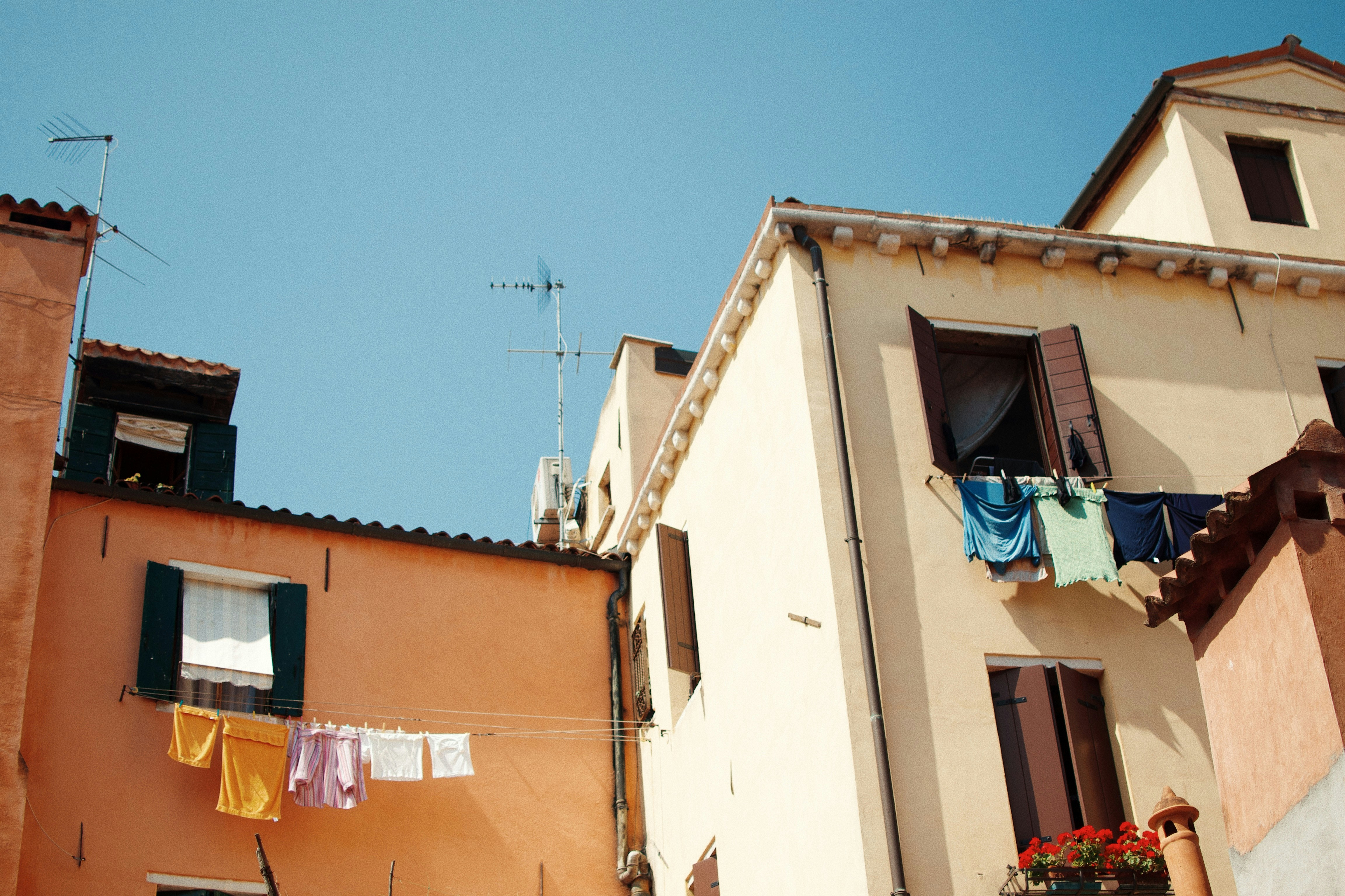 Photo by molliemoran