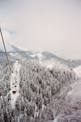 Skier setting off on a snowy morning