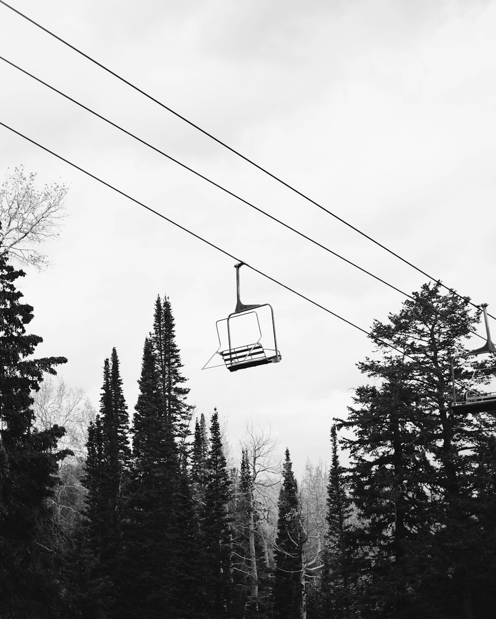 grayscale photo of trees under cloudy sky