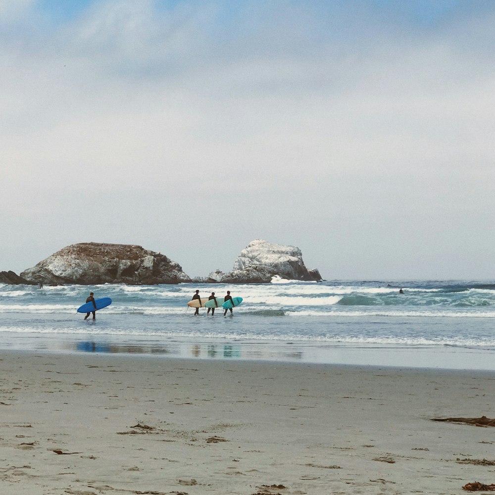 people on beach during daytime