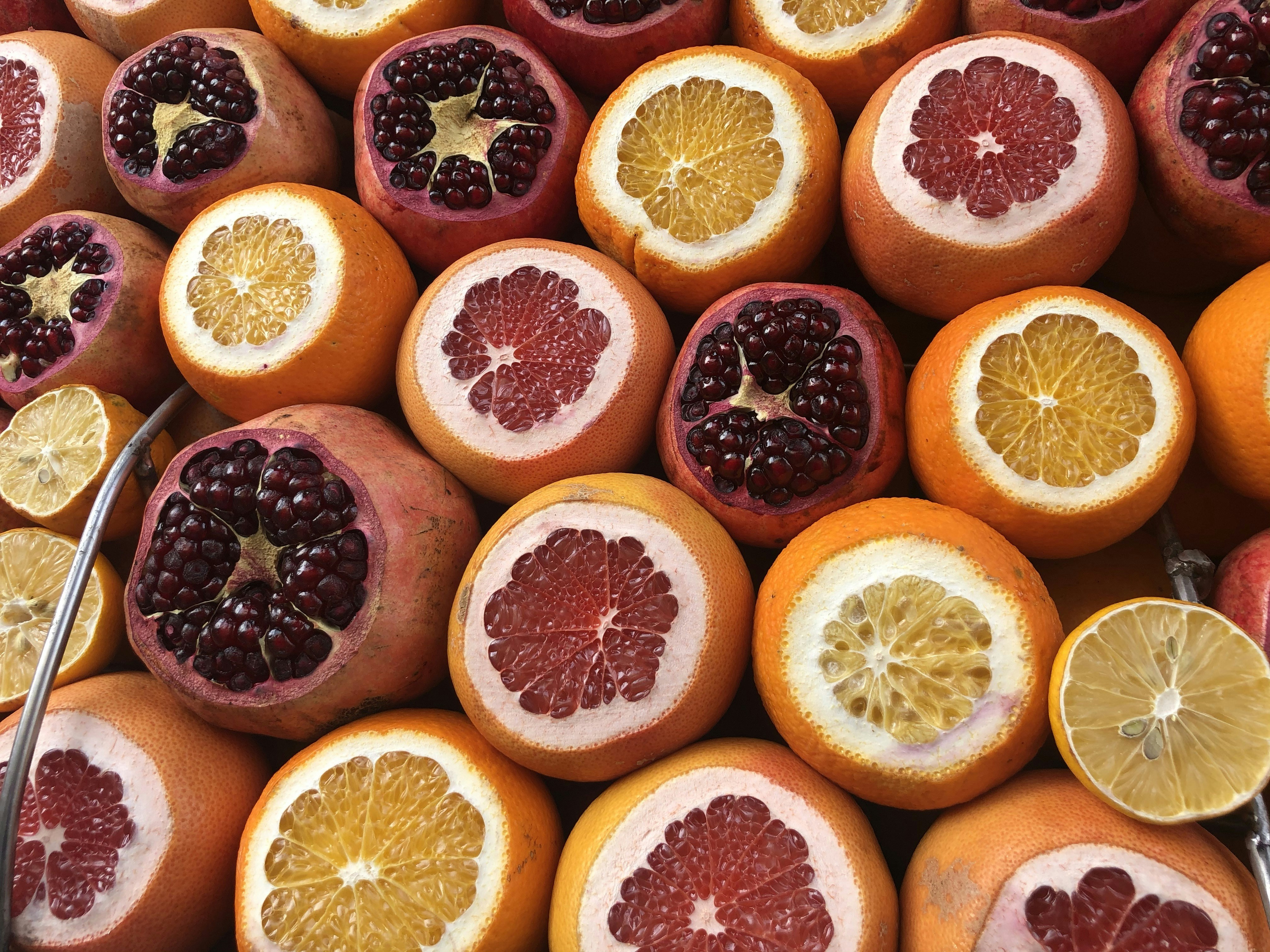 trip gallery picture