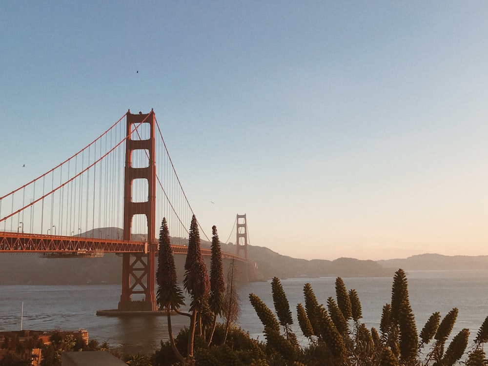 golden gate bridge san francisco