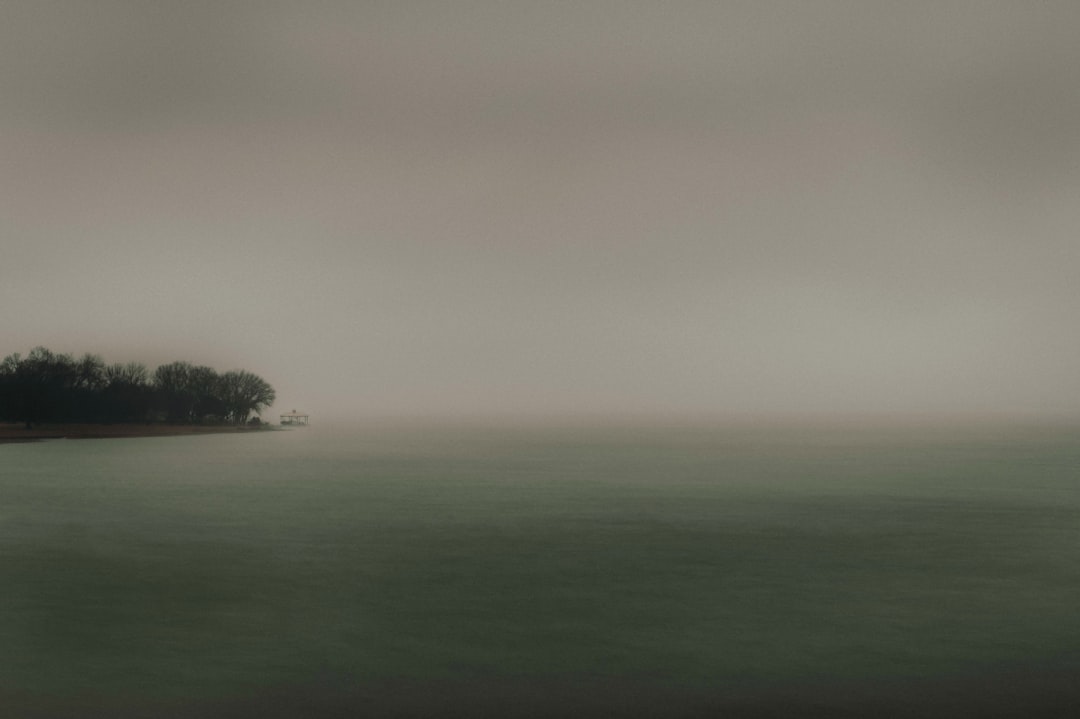 green trees on green grass field under gray sky