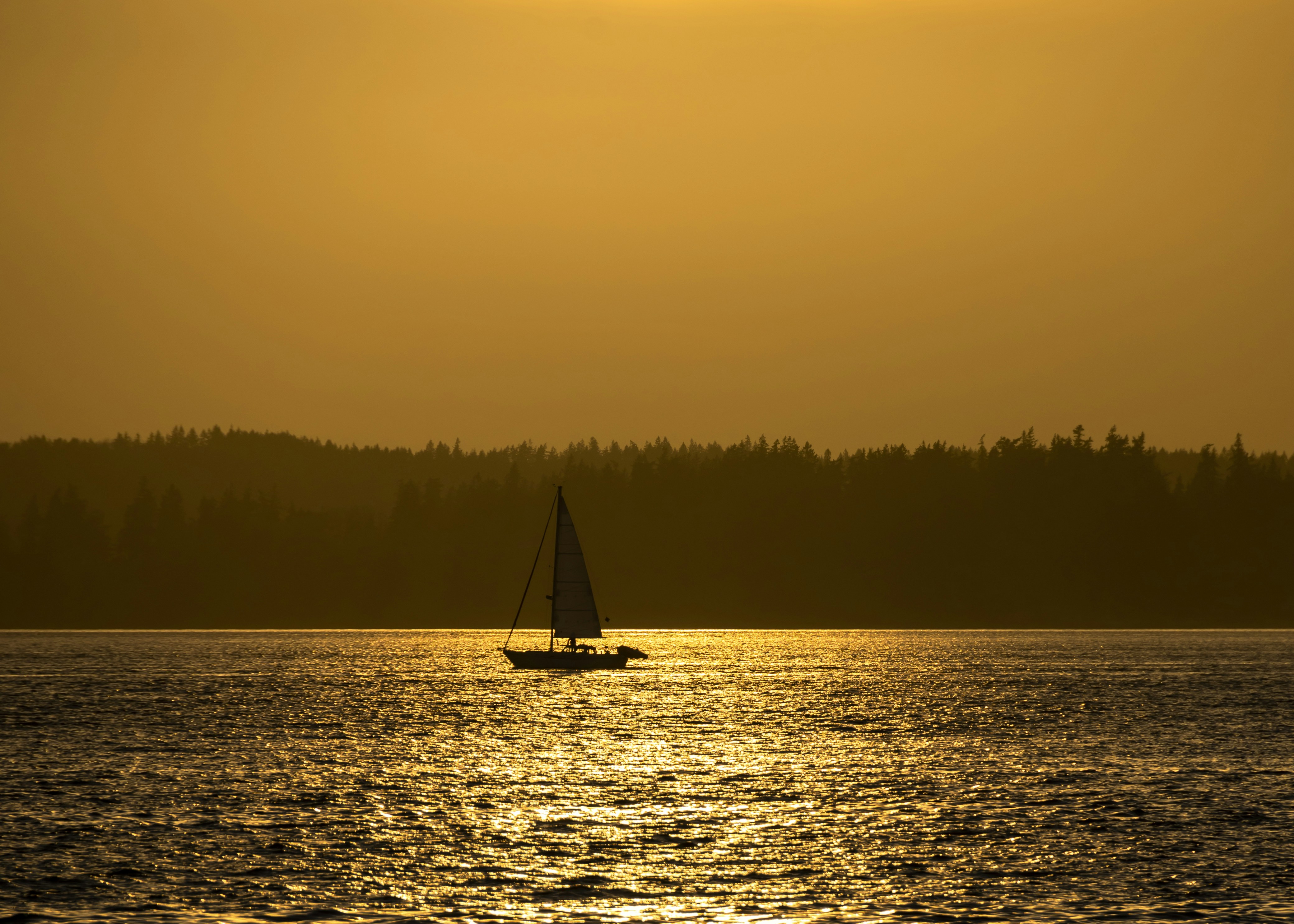 Photo by josi_ribeiro