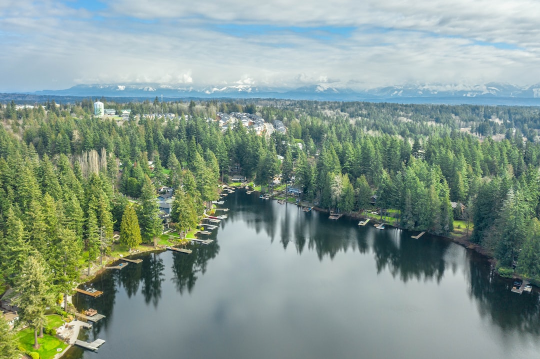 green trees beside lake under blue sky during daytime