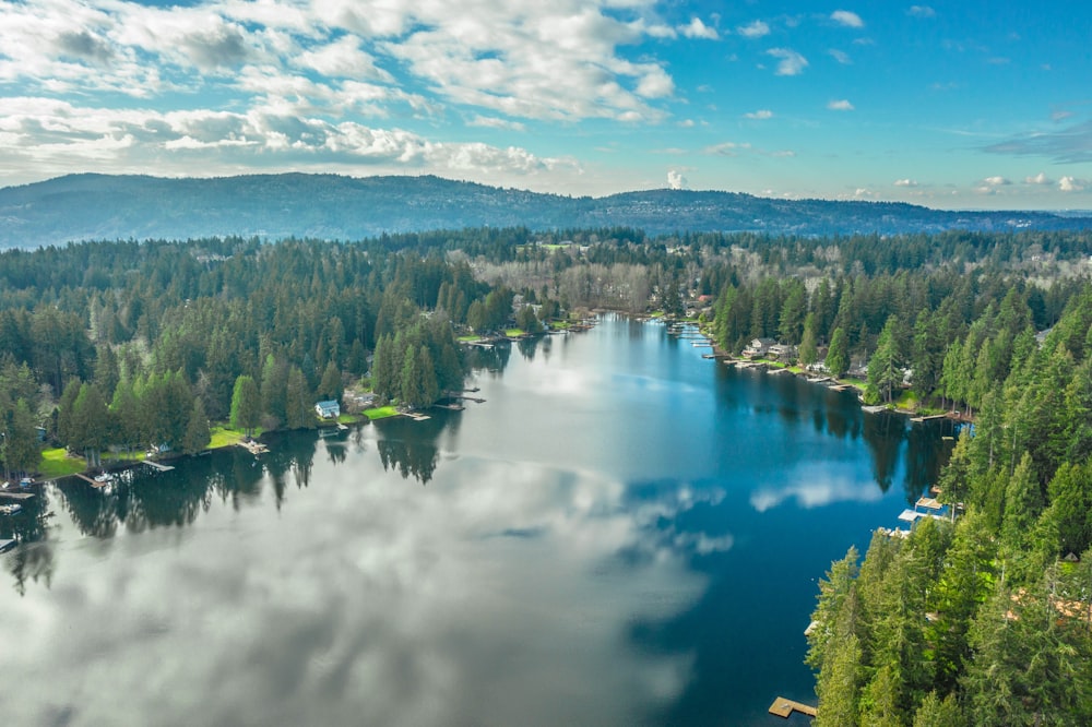 green trees near lake under white clouds and blue sky during daytime