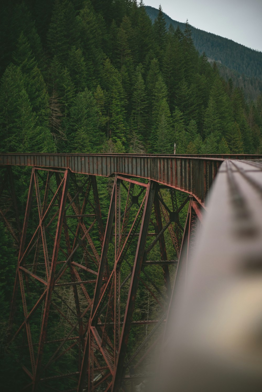 brown wooden bridge over river