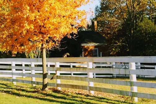 brown and white wooden house near green trees during daytime