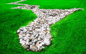 A winding stone walkway bordered by lush greenery, highlighting the smooth, even interlocking stones.