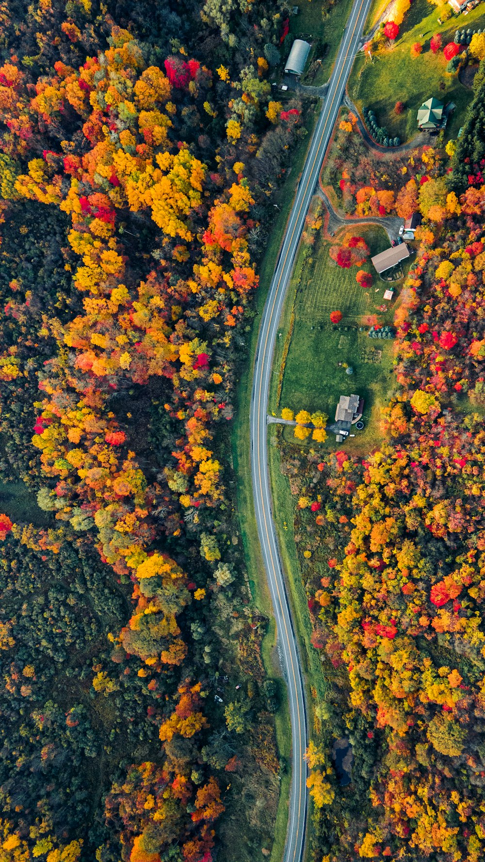 Vue aérienne d’une route entourée d’arbres