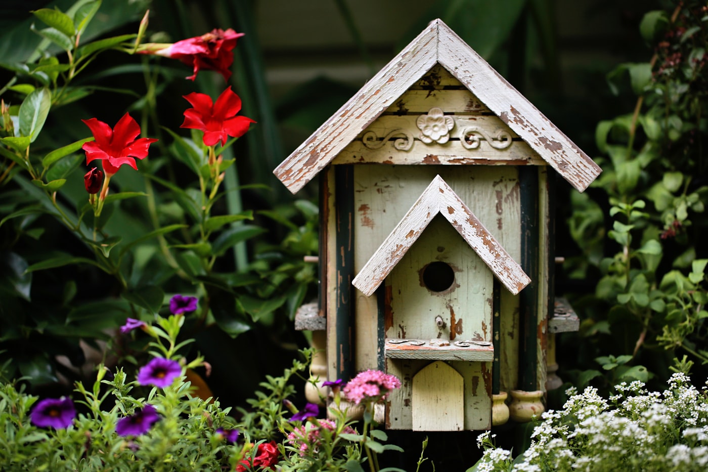 Vogelhaus mit dekorativen Blumen in natürlicher Umgebung