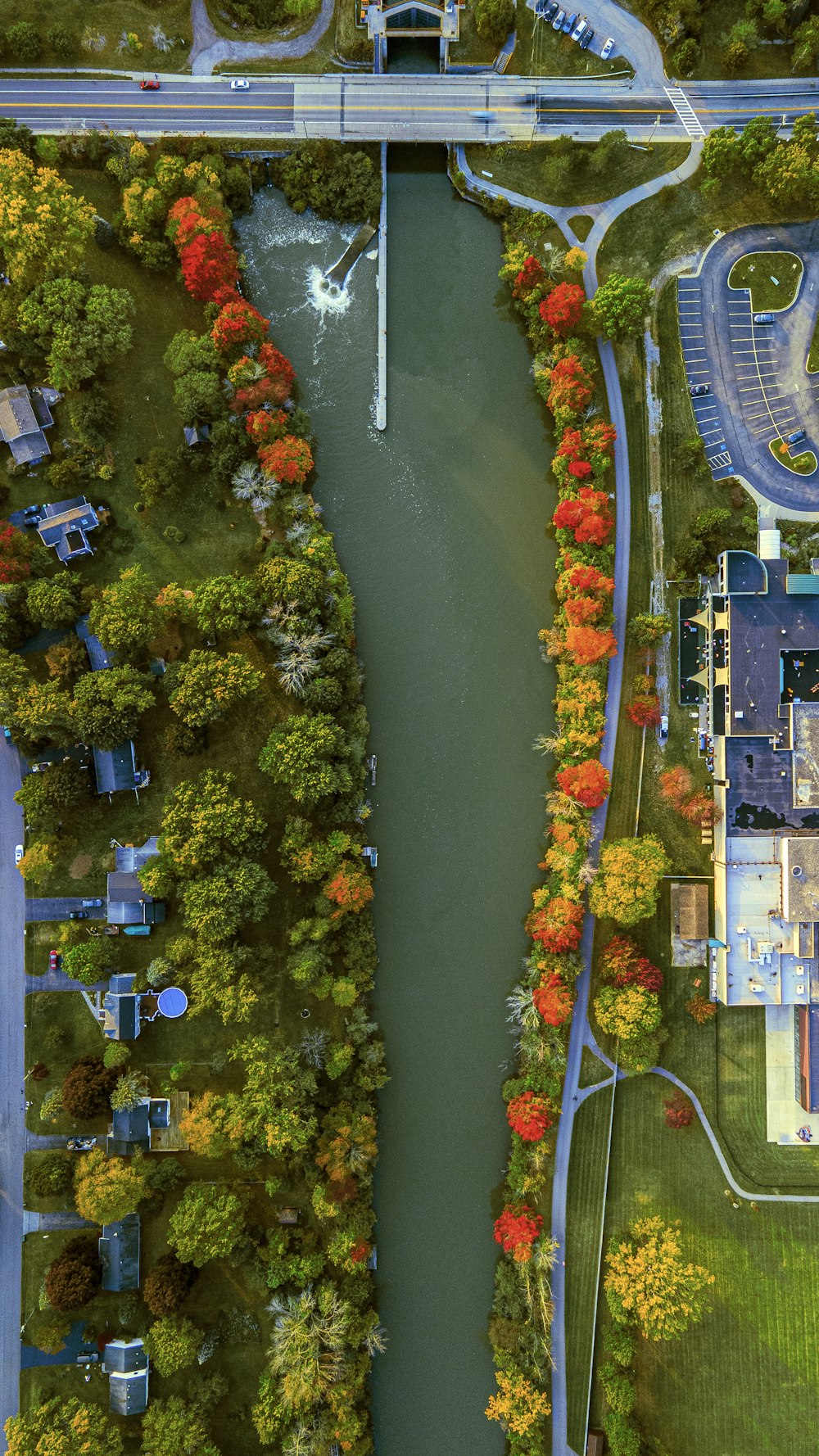 aerial view of city buildings and trees beside river during daytime