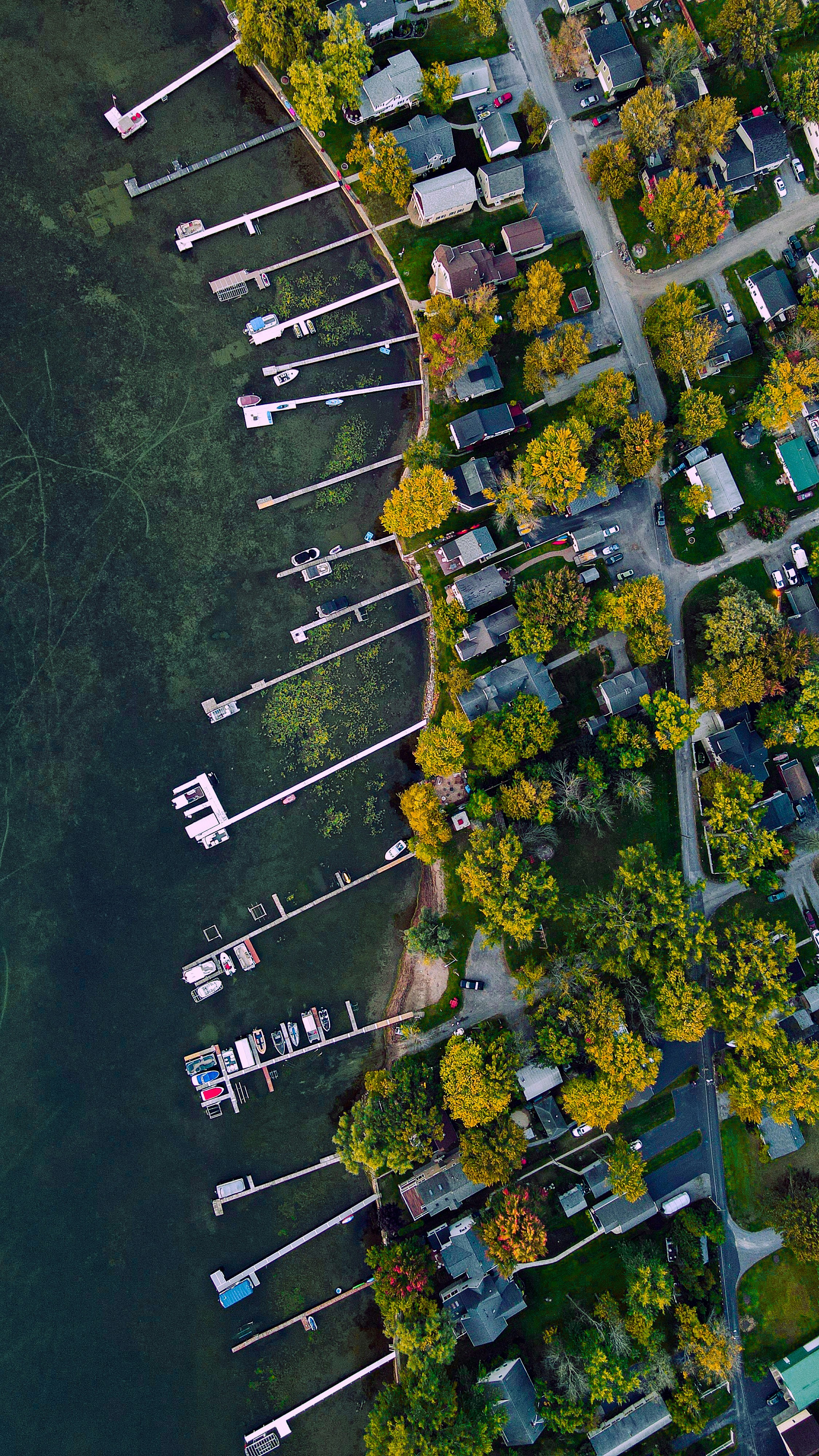 Photo by lokeshpaduchuri