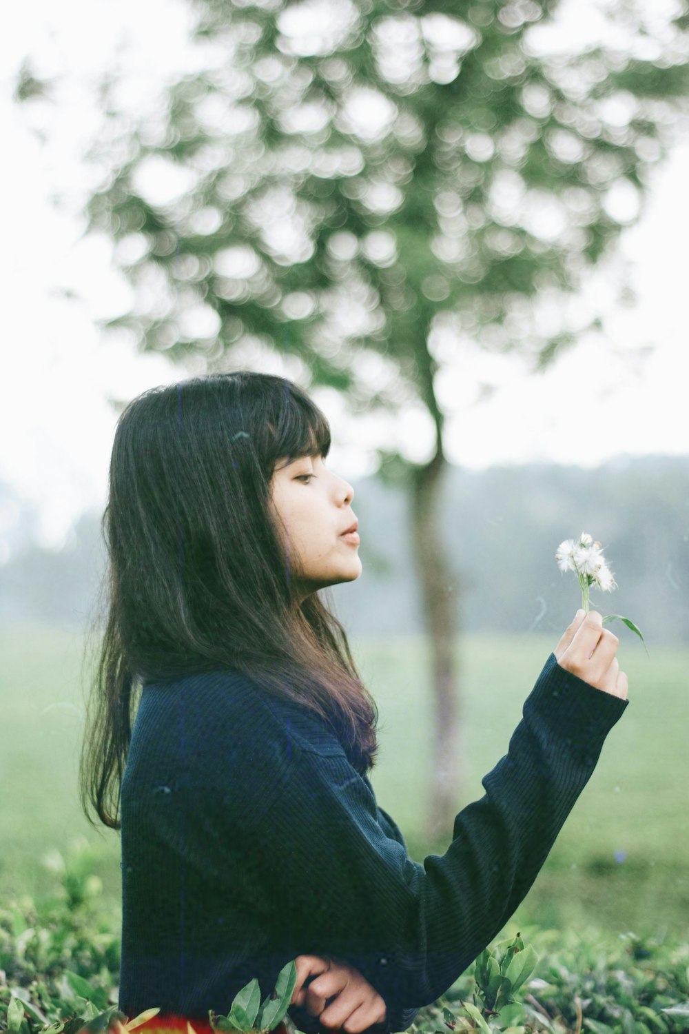 woman in black long sleeve shirt holding white dandelion flower during daytime