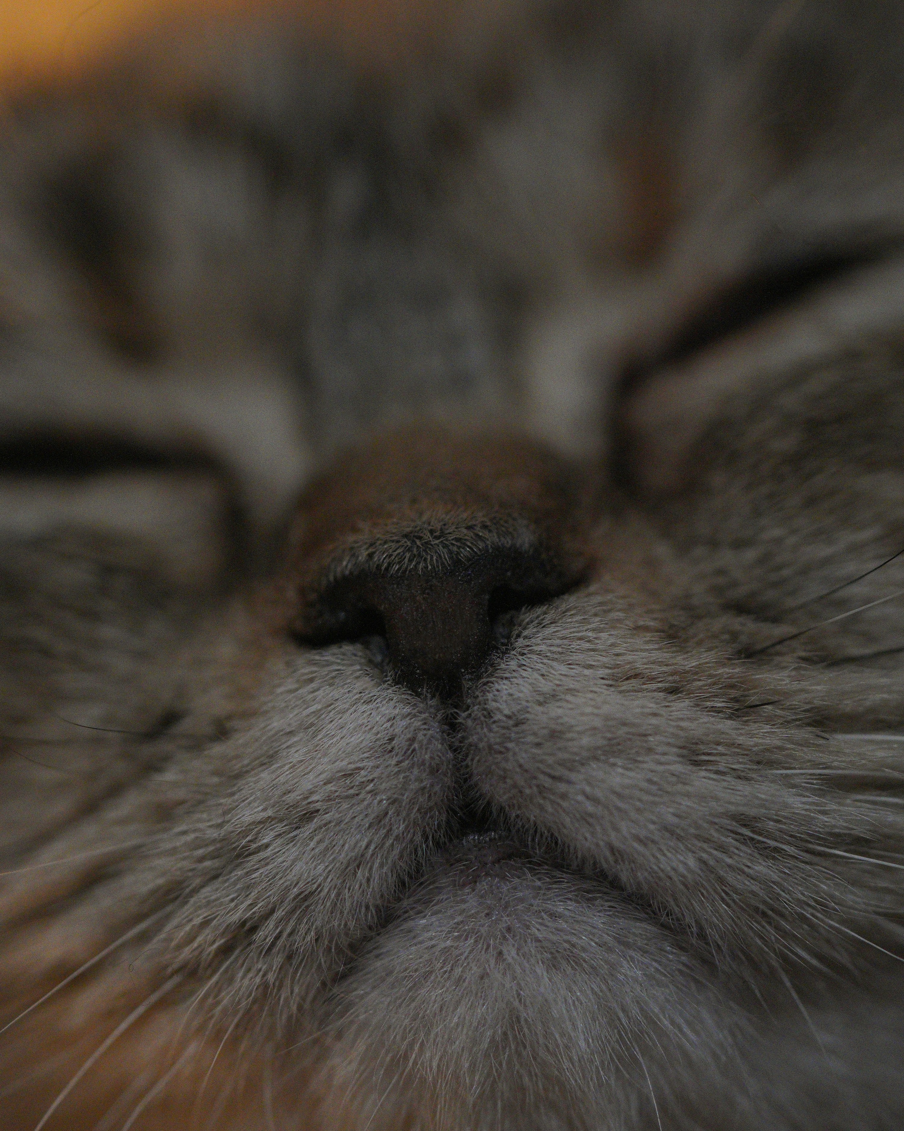 Photo by behrouzsasani