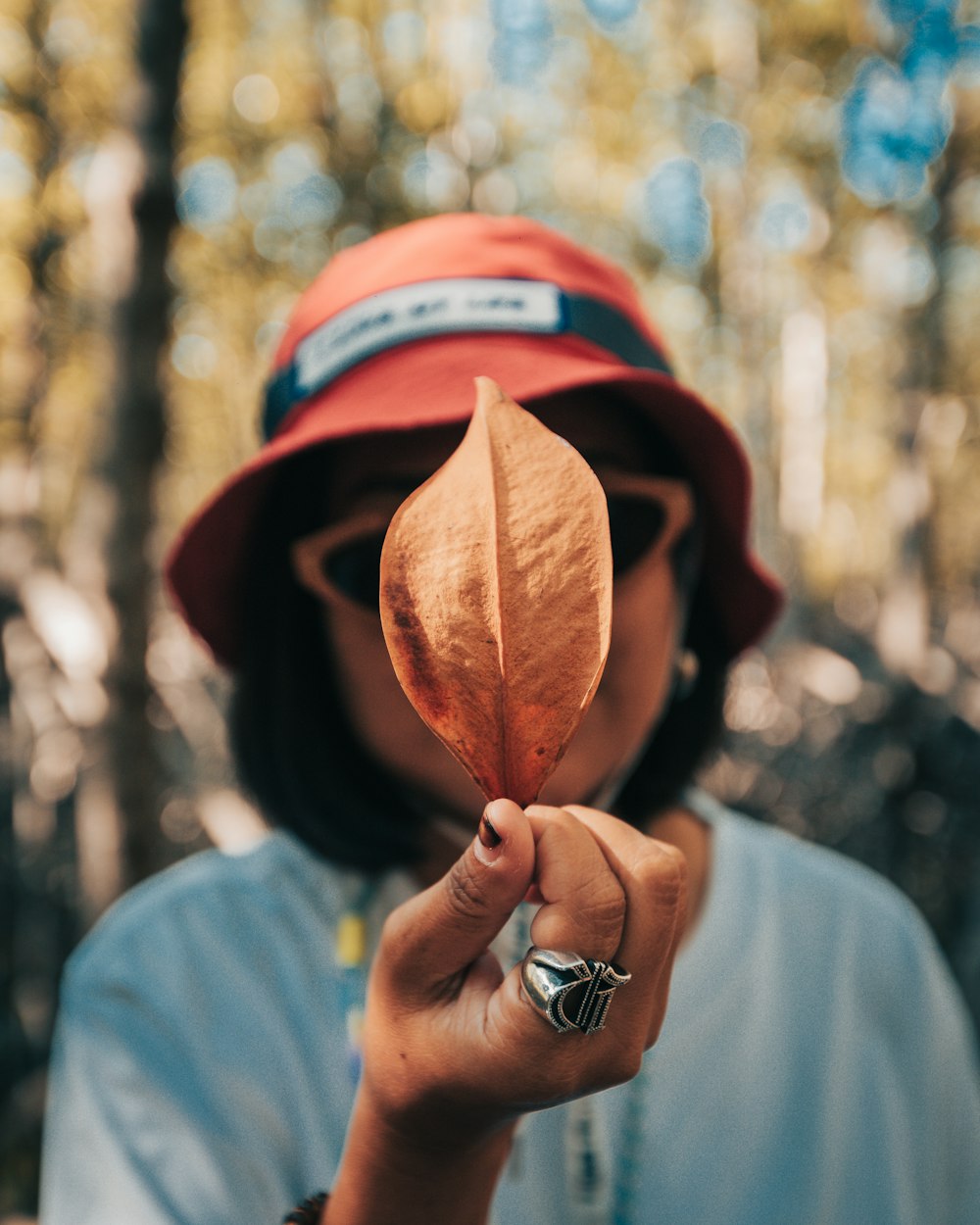 person holding brown leaf during daytime