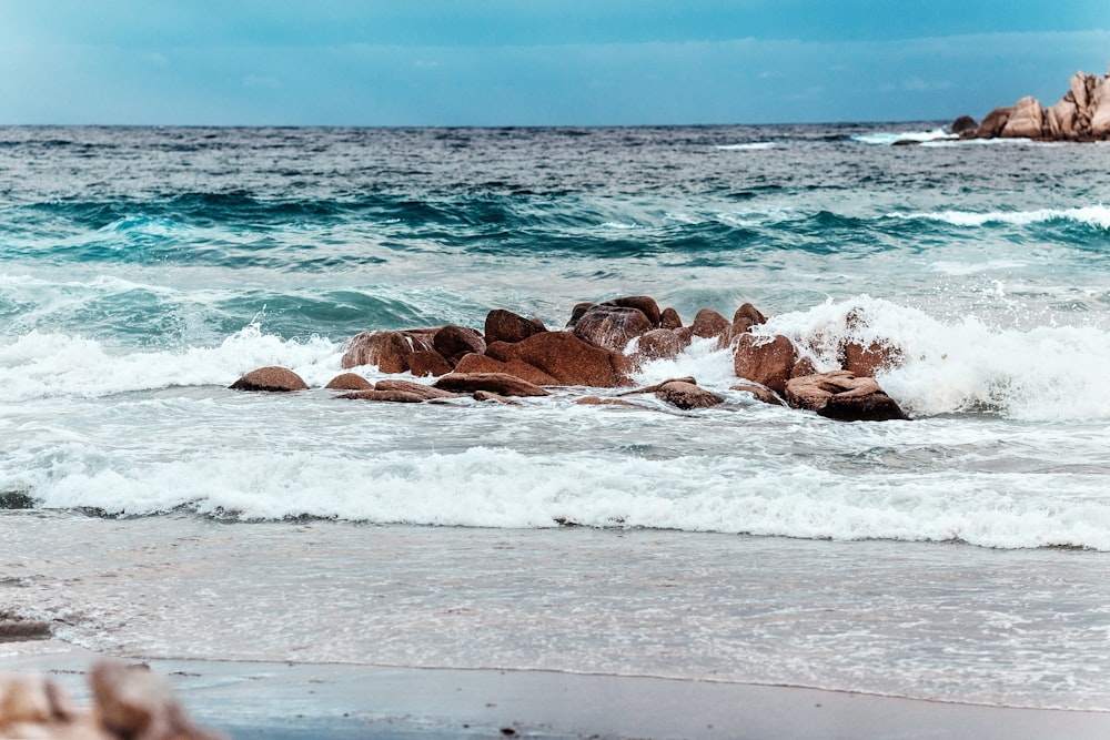 brown rocky shore during daytime