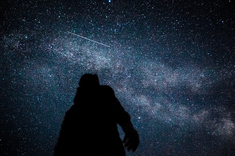 silhouette of man and woman under starry night