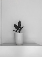 A sleek indoor planter with lush green foliage sitting on a minimalist wooden shelf against a gray wall.