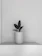 A cozy indoor scene featuring a minimalist ceramic planter with a thriving green plant on a wooden shelf.