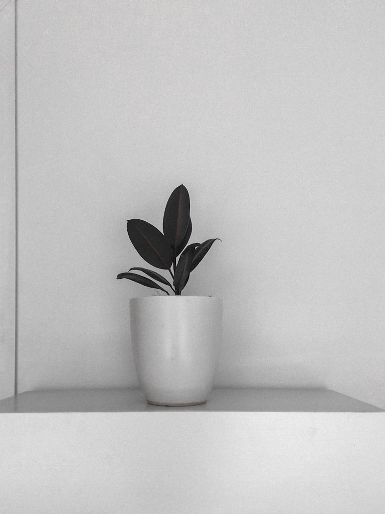Arc Ceramic Planter