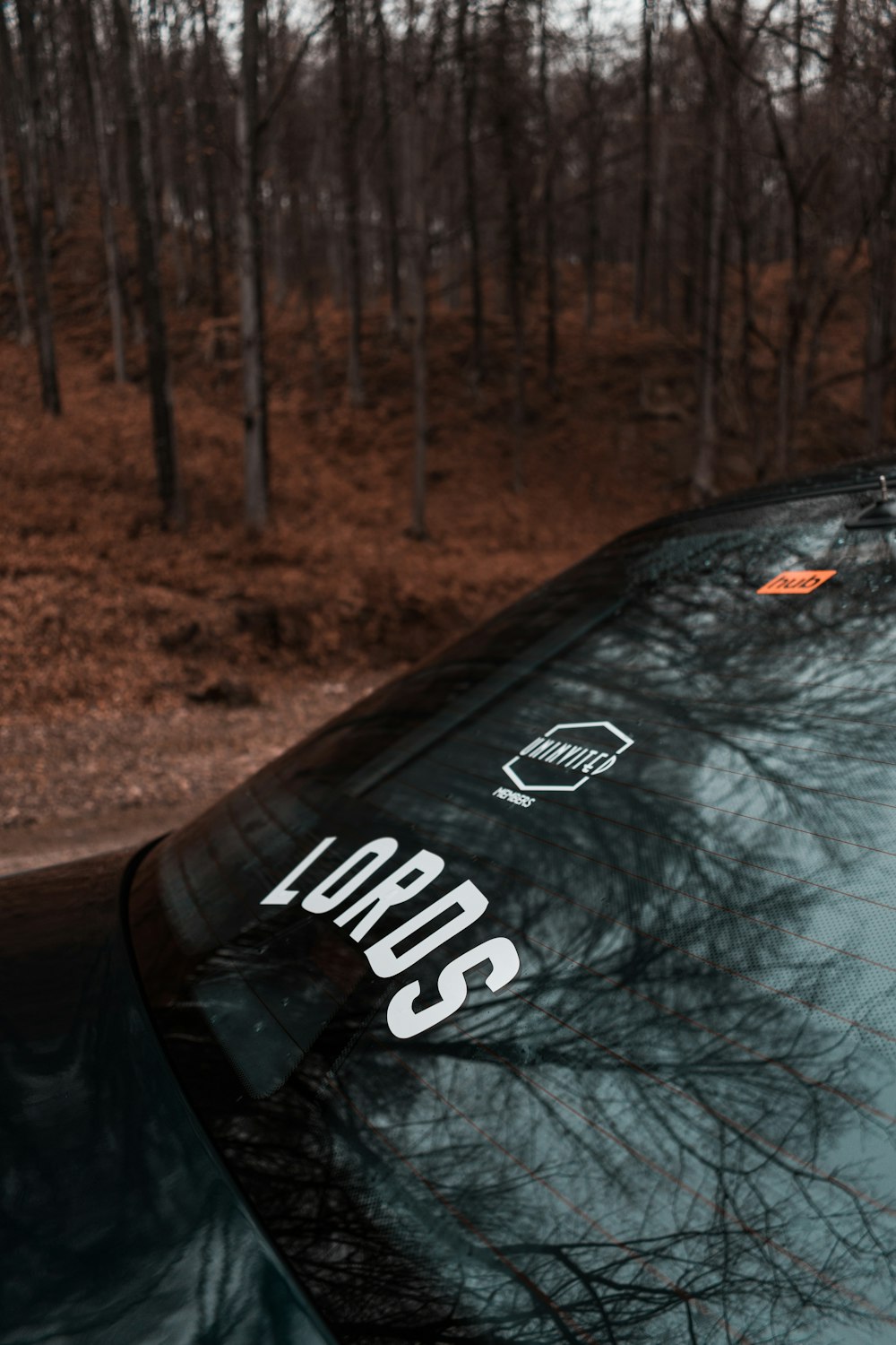 black car near brown trees during daytime