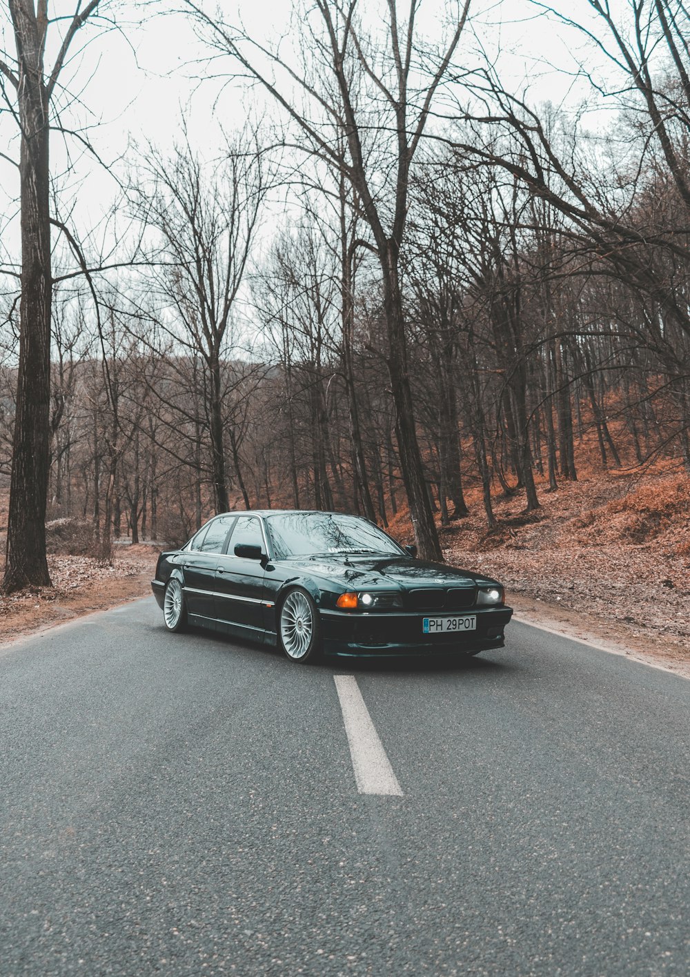 black bmw car on road near bare trees during daytime