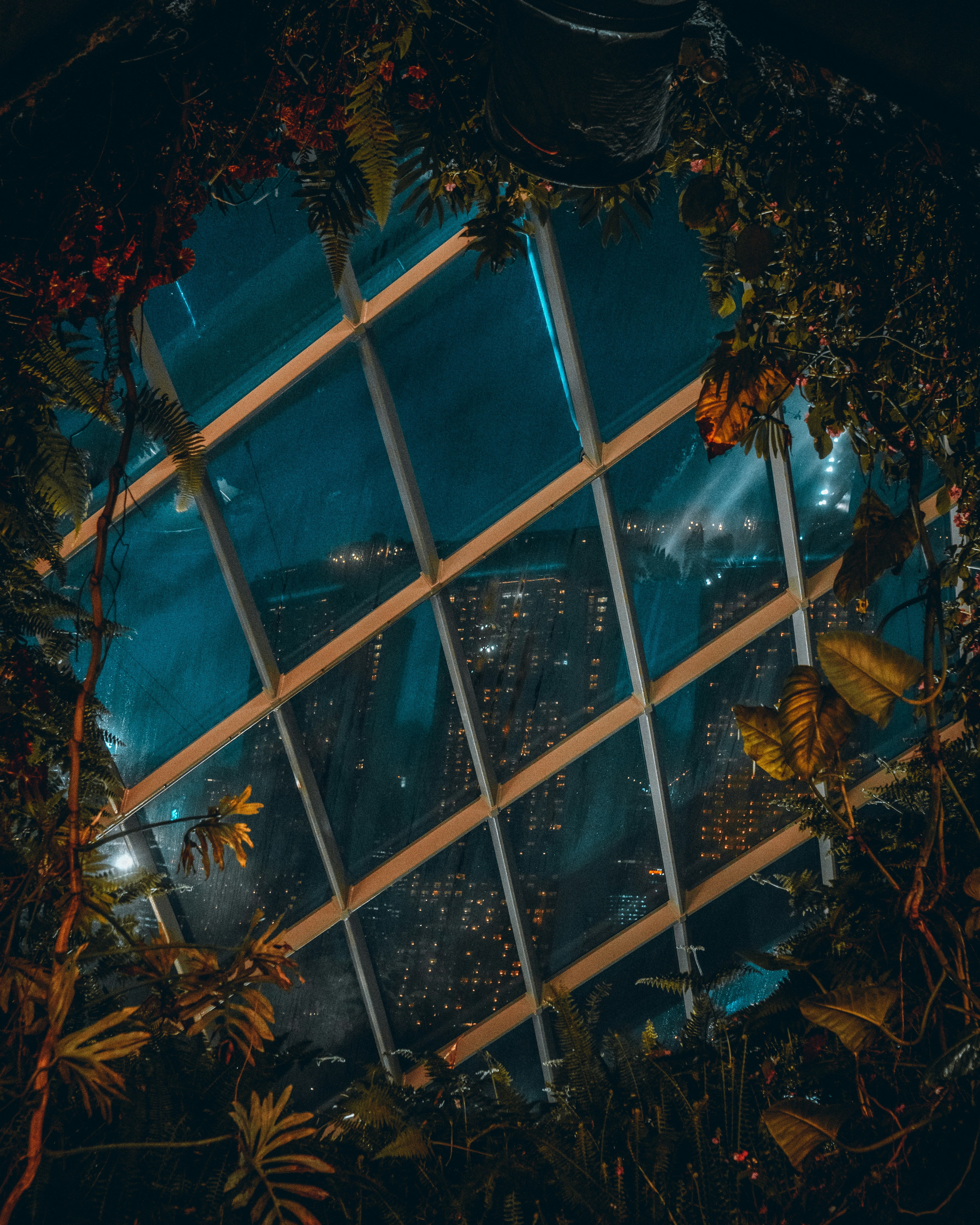 Bitcoin’s potential part 2