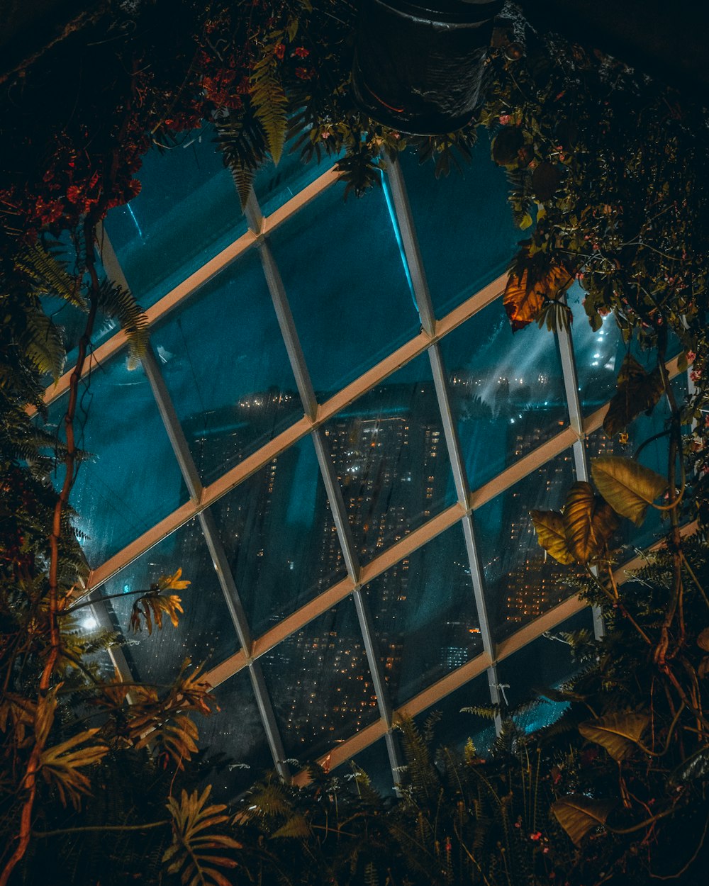 brown leaves on glass wall